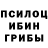 Псилоцибиновые грибы прущие грибы Valeriu Balan