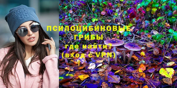 не бодяженный Нязепетровск