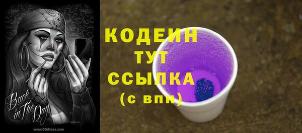 гидра Новодвинск