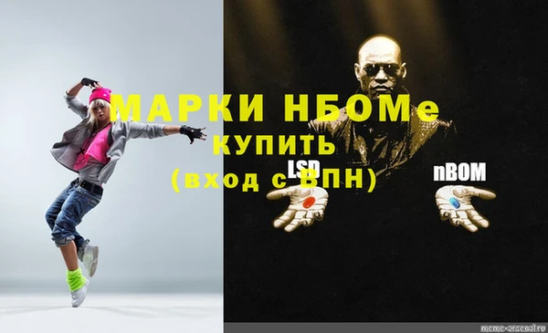 МДПВ Новозыбков