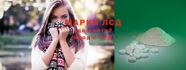 гидра Новодвинск