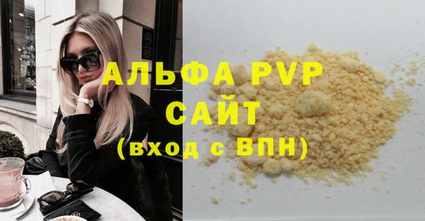 МДПВ Новозыбков