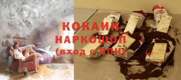 гидра Новодвинск