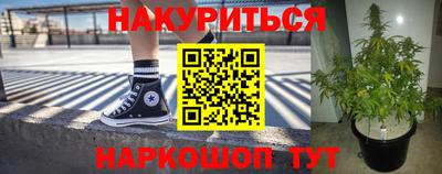 индика Донецк