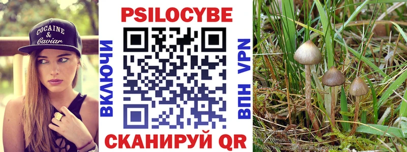 ОМГ ОМГ ссылки  Котовск  Галлюциногенные грибы мухоморы 