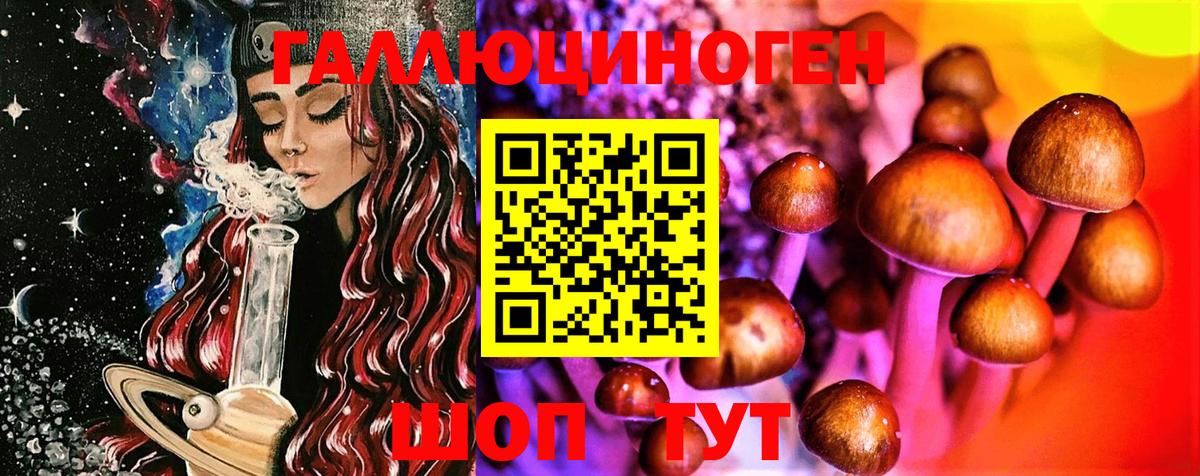 Галлюциногенные грибы Psilocybe Котовск