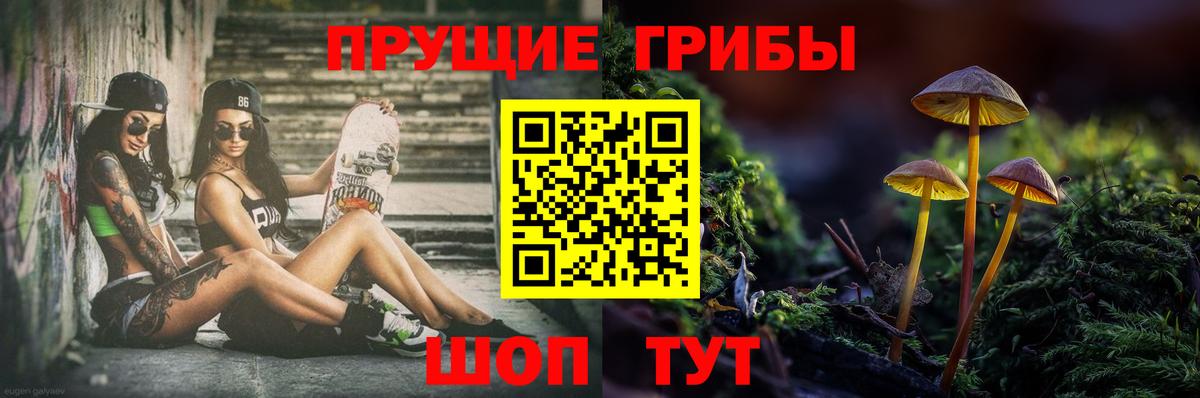 Псилоцибиновые грибы Psilocybine cubensis  Псилоцибиновые грибы ЛСД  Котовск 