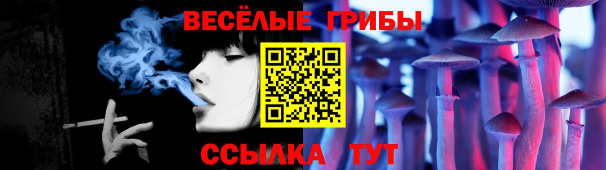 Галлюциногенные грибы Psilocybine cubensis  Вход с VPN  Котовск 