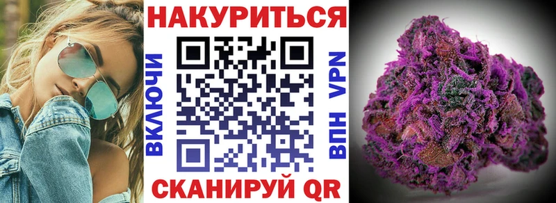 кракен как войти  Котовск  Каннабис ГИДРОПОН  наркота 